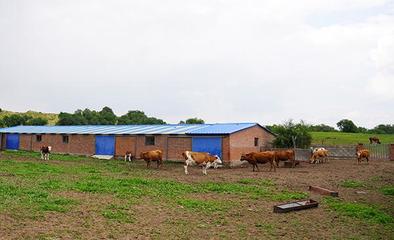 禁牧區(qū)牧民贊國策，生態(tài)與生計雙贏的新篇章