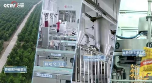 洽洽20年 一把堅(jiān)果背后的匠心與堅(jiān)守，與網(wǎng)絡(luò)科技領(lǐng)域技術(shù)開(kāi)發(fā)的跨界啟示